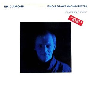 Jim Diamond - I Should Have Known Better | 12" Maxi Single Usado