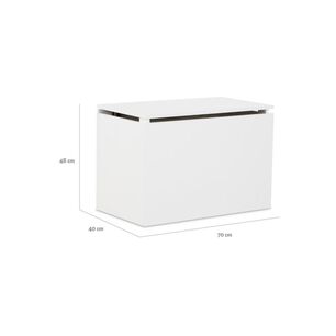Mueble Kids Ba&uacute;l Cic
