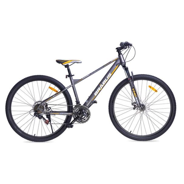 Bicicleta Mountain Bike Brabus 2900ss / 29
