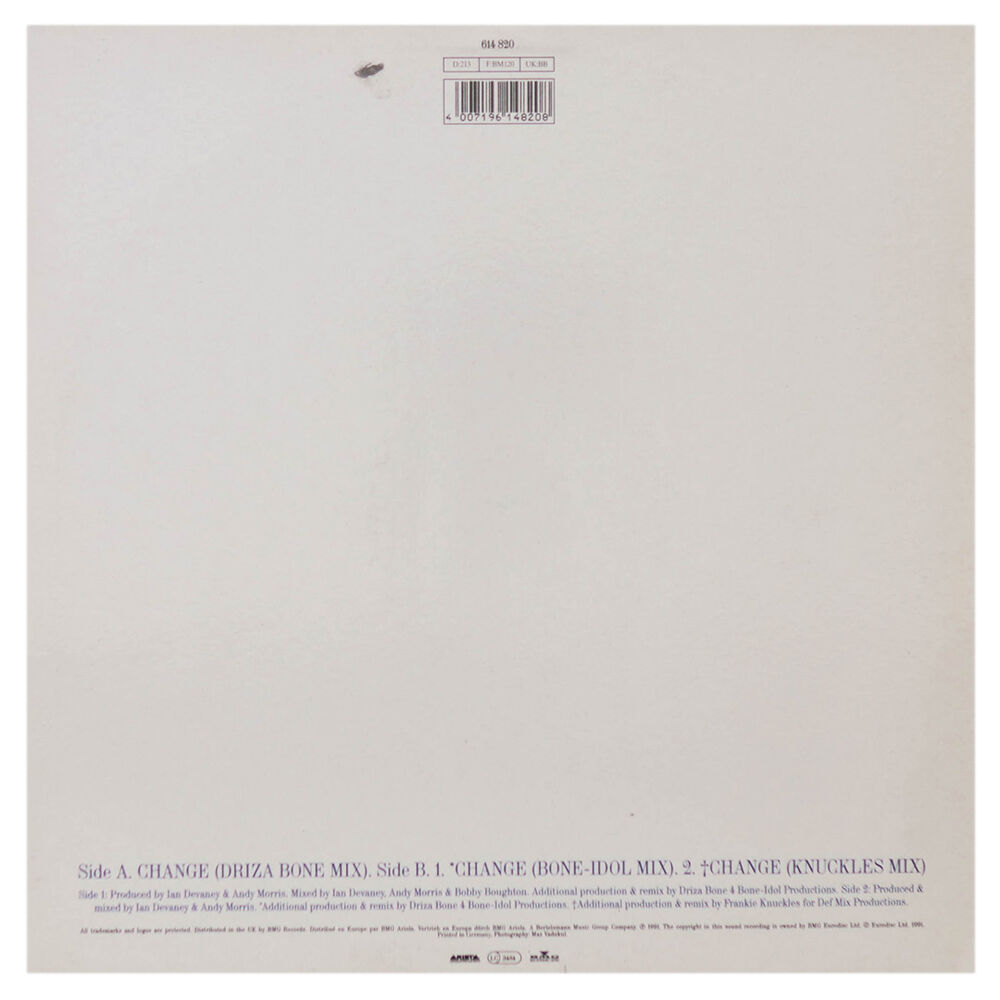 Lisa Stansfield - Change | 12" Maxi Single Usado image number 1.0