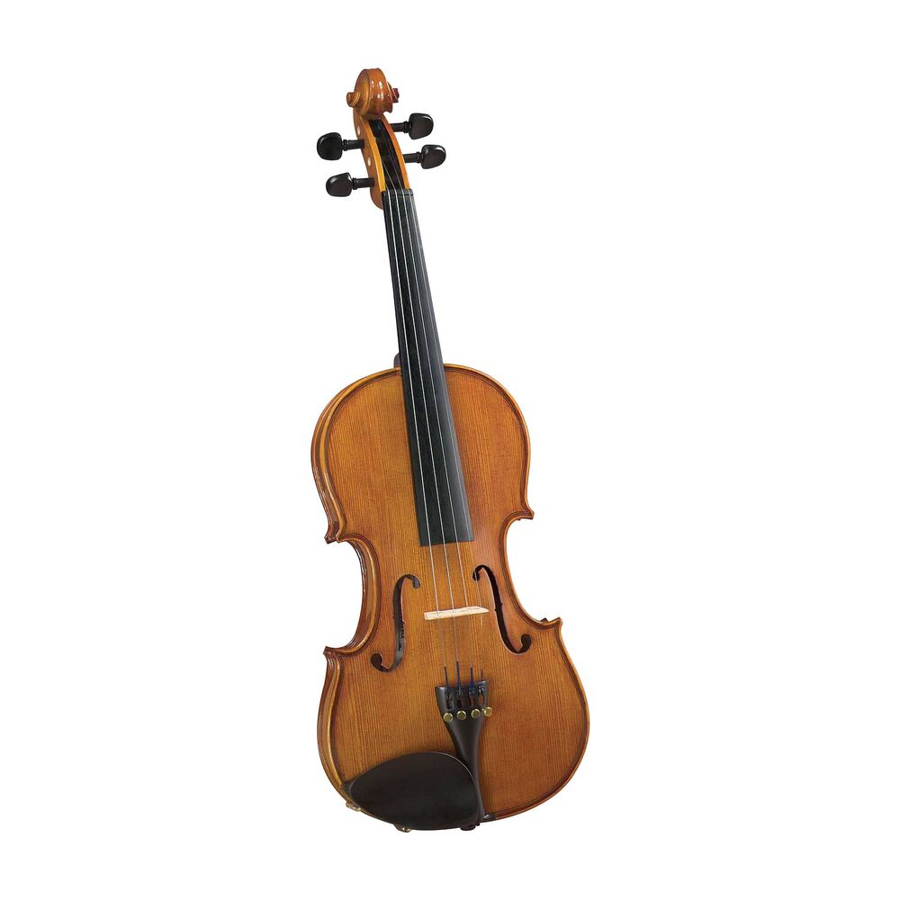Viol&iacute;n Outfit 4/4' Sv-175 Cremona image number 0.0