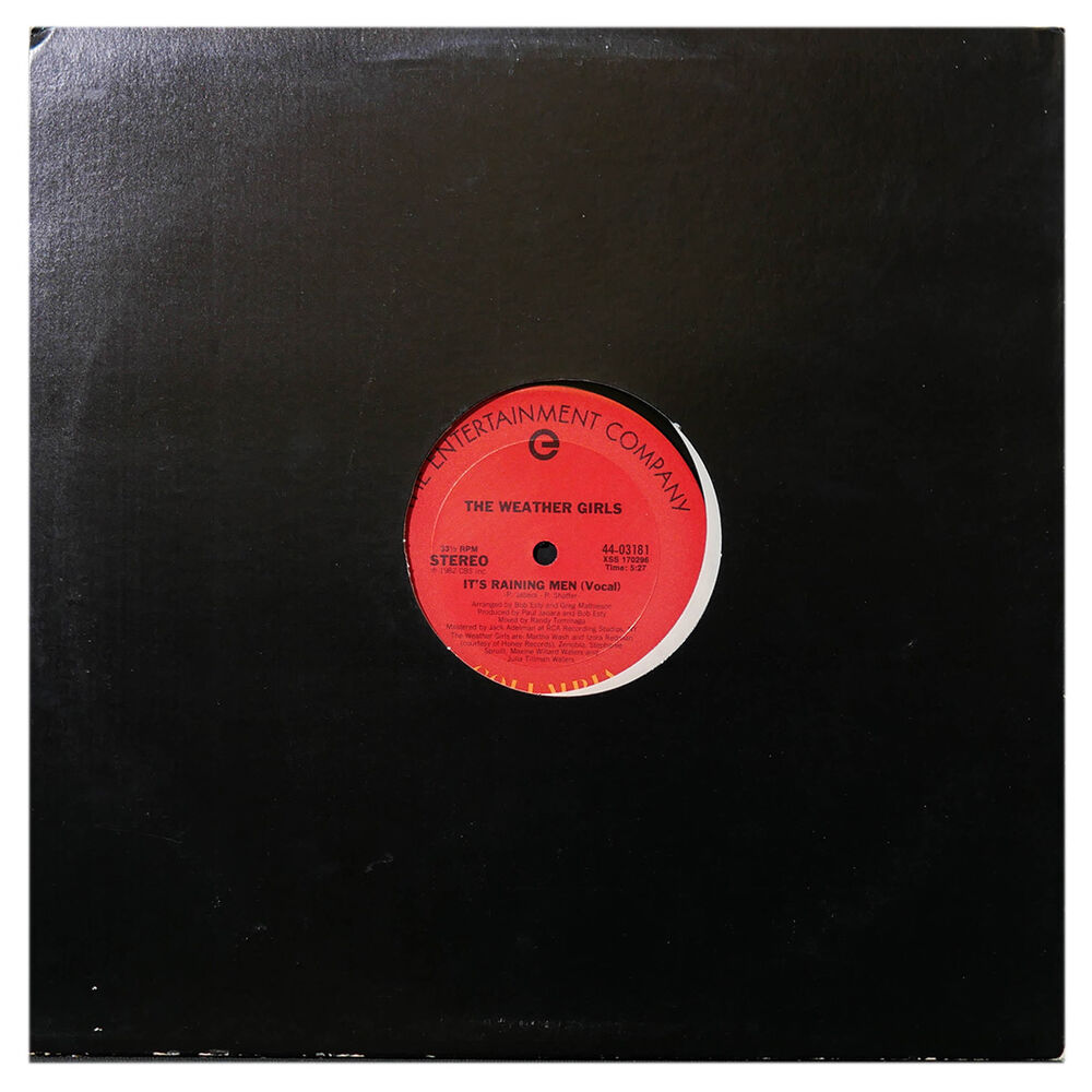 The Weather Girls - It's A Raining Men | 12" Maxi Single Usado image number 0.0
