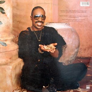 Stevie Wonder - In Square Circle | Vinilo Usado