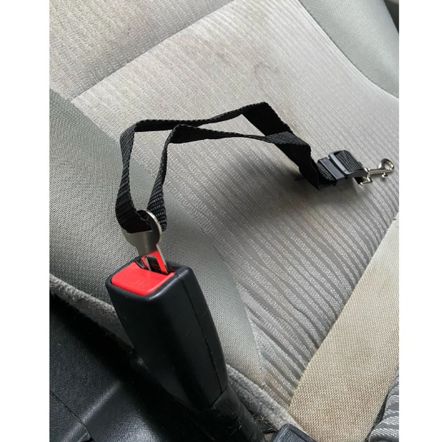 Cintur&oacute;n De Seguridad De Coche Para Perros Arnes Mascotas Correa Para Auto Gatos Y Canes image number 9.0