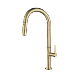 Griferia Golden Extensible Fdv