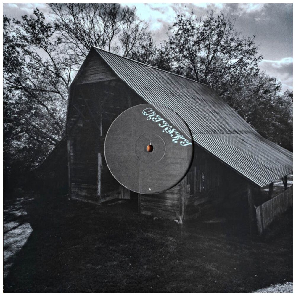 Mitski - Land Is Inhospitable And So Are We | Vinilo image number 4.0