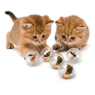 Juguete Para Gato Pack De 6 Pelotas Con Insectos