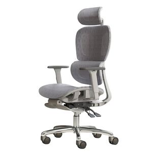 Silla Oficina &Eacute;lite Ergon&oacute;mica Soporte Lumbar Cervical Ajustable