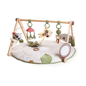 Gimnasio Boho Chic Luxe Tiny Love