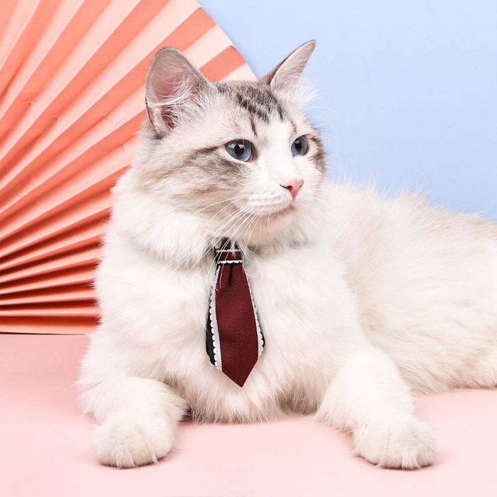 Collar Corbata Con Cascabel Mascotas Pequeñas Gatos Y Perros image number 2.0