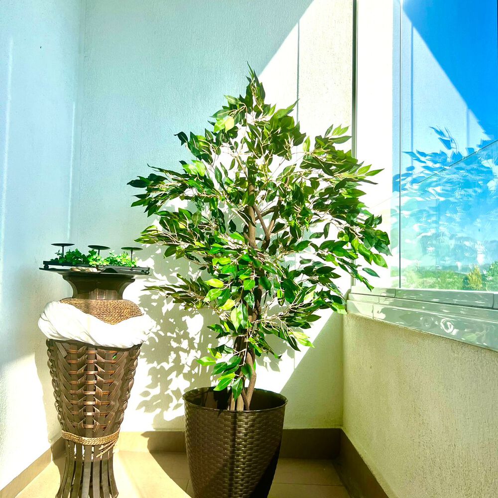 2 X 1 Plantas Artificiales Baratas Ficus 120 Cm Arbusto Real image number 2.0