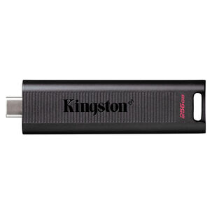 Pendrive Kingston Datatraveler Max 256gb Tipo-c Dtmax/256gb