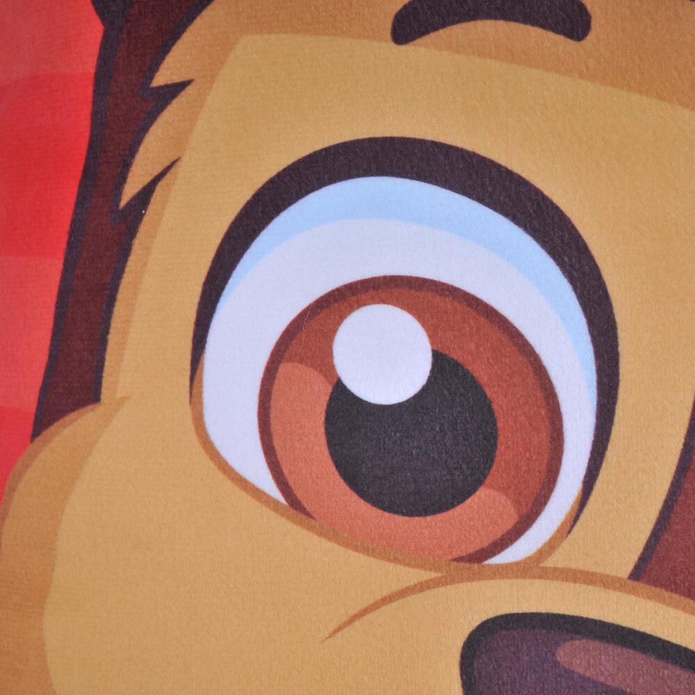 Cojín Paw Patrol Niño image number 1.0