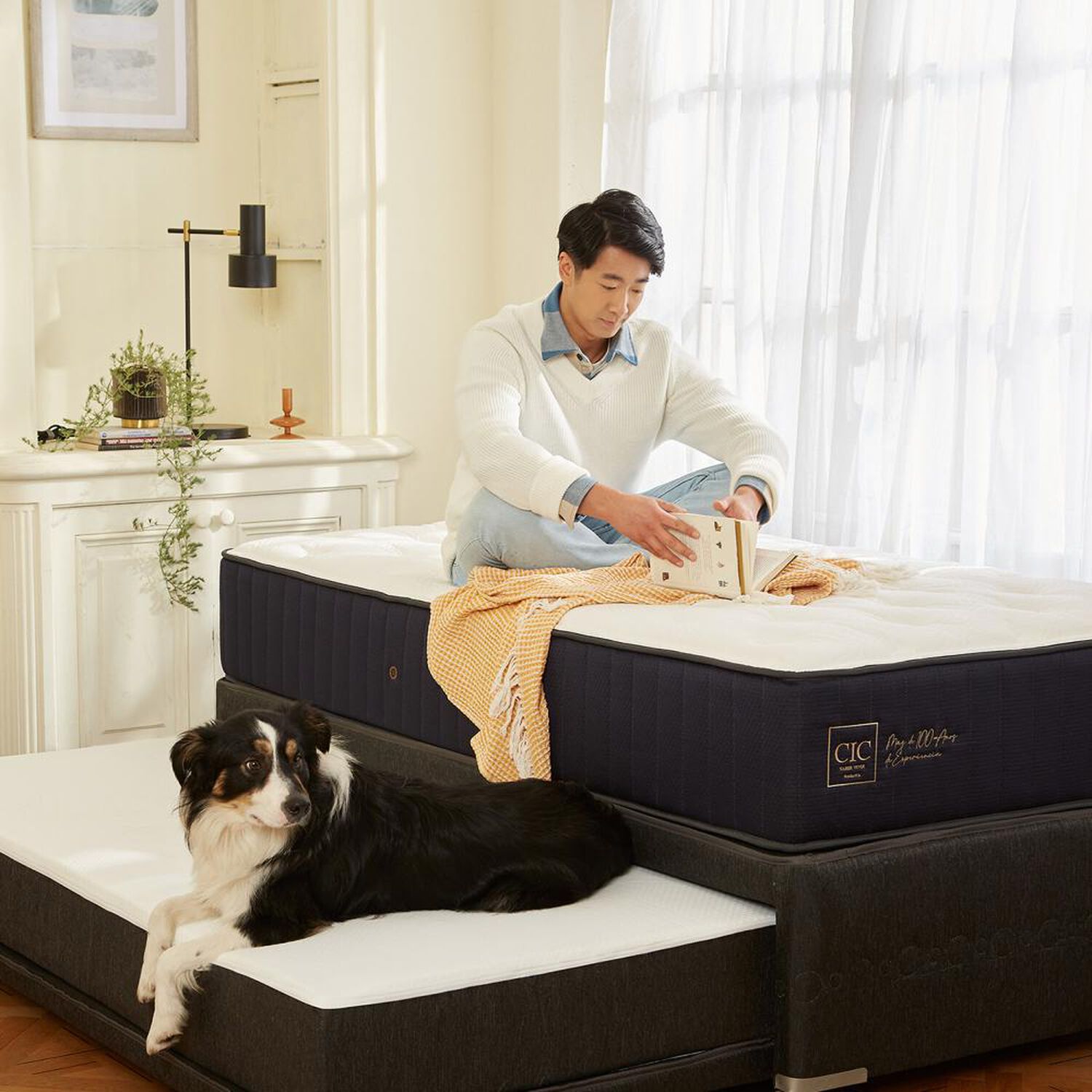 Cama Nido Cic Premium / 1.5 Plazas / Base Normal + Set De Maderas image number 5.0