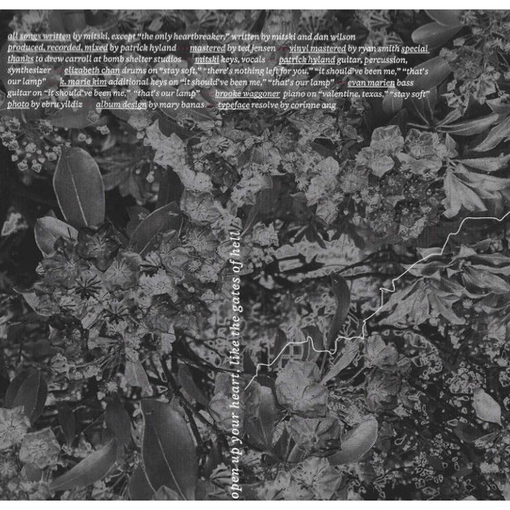 Mitski - Laurel Hell (digipack) | Cd image number 6.0