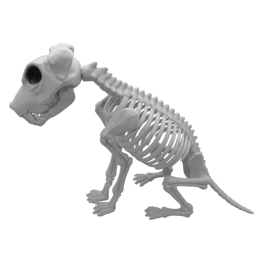 Esqueleto Perro 43x25x8 Cm Halloween Big Party image number 0.0