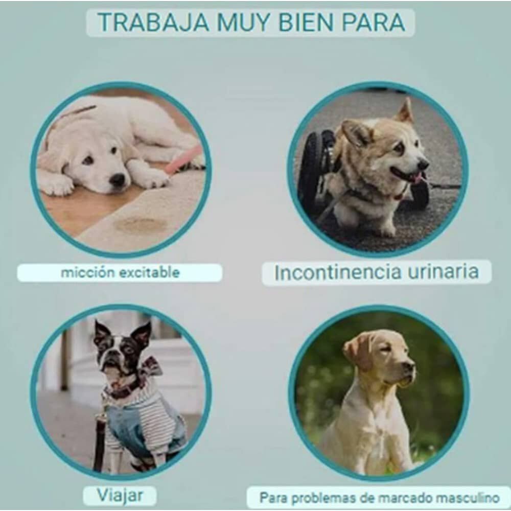 25 Pa&ntilde;ales Perros/gatos Macho M image number 3.0