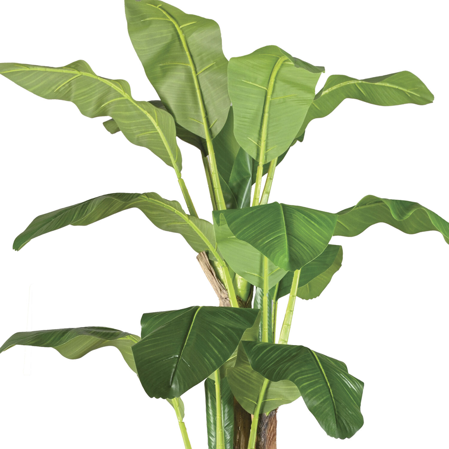 Planta Artificial Banano Premium 180 Cm. / 14 Hojas / Arbusto Real image number 4.0