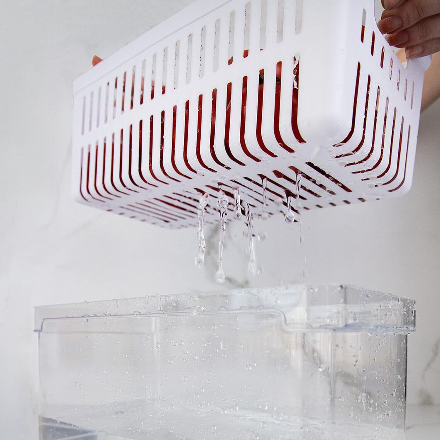 Organizador De Refrigerador Con Tapa Clear Fresh 30 X 15 X 13 Cm image number 3.0
