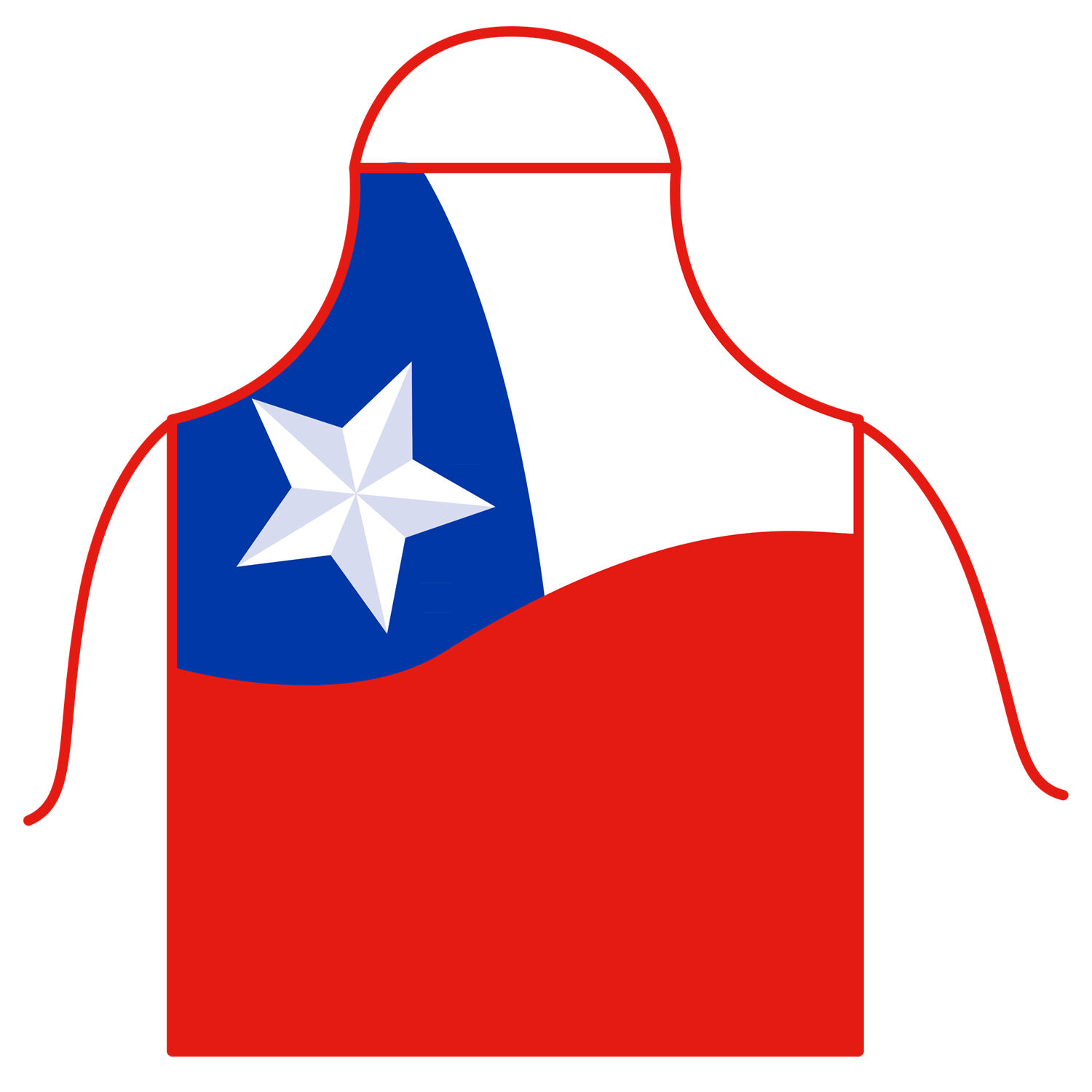 Delantal Tela Chile image number 0.0