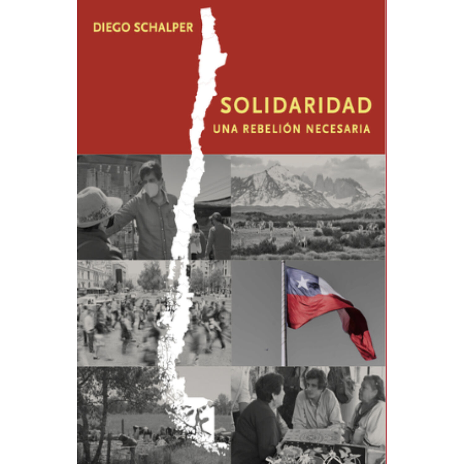 Solidaridad, Una Rebelion Necesaria image number 0.0