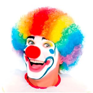 Peluca De Payaso Multicolor