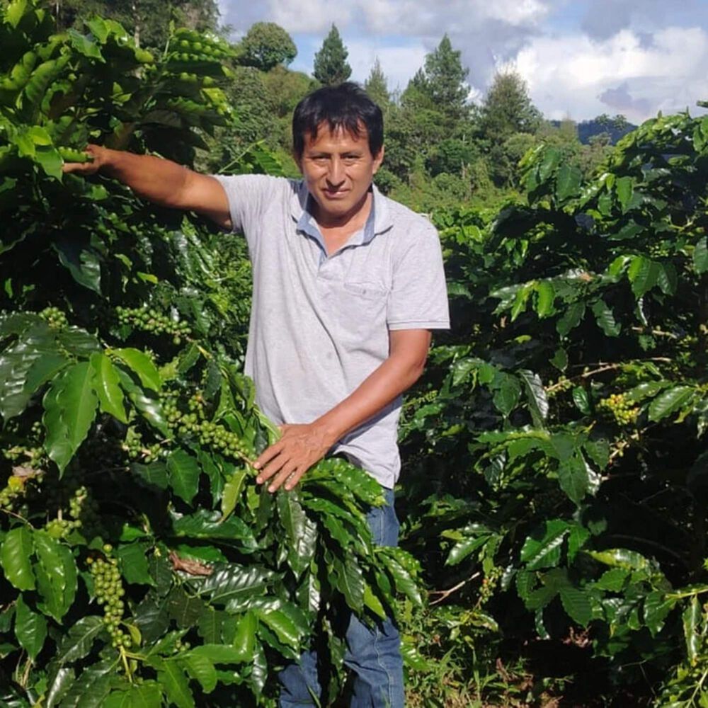 Cafe En Grano Kawas Peru Pangoa Cafe De Origen 250g image number 6.0