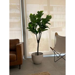 Planta Artificial Ficus Lyrata Deluxe180 Cm. / 88 Hojas Arbusto Real