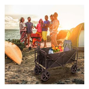 Carrito Plegable Organizador Camping Carga Pequeño