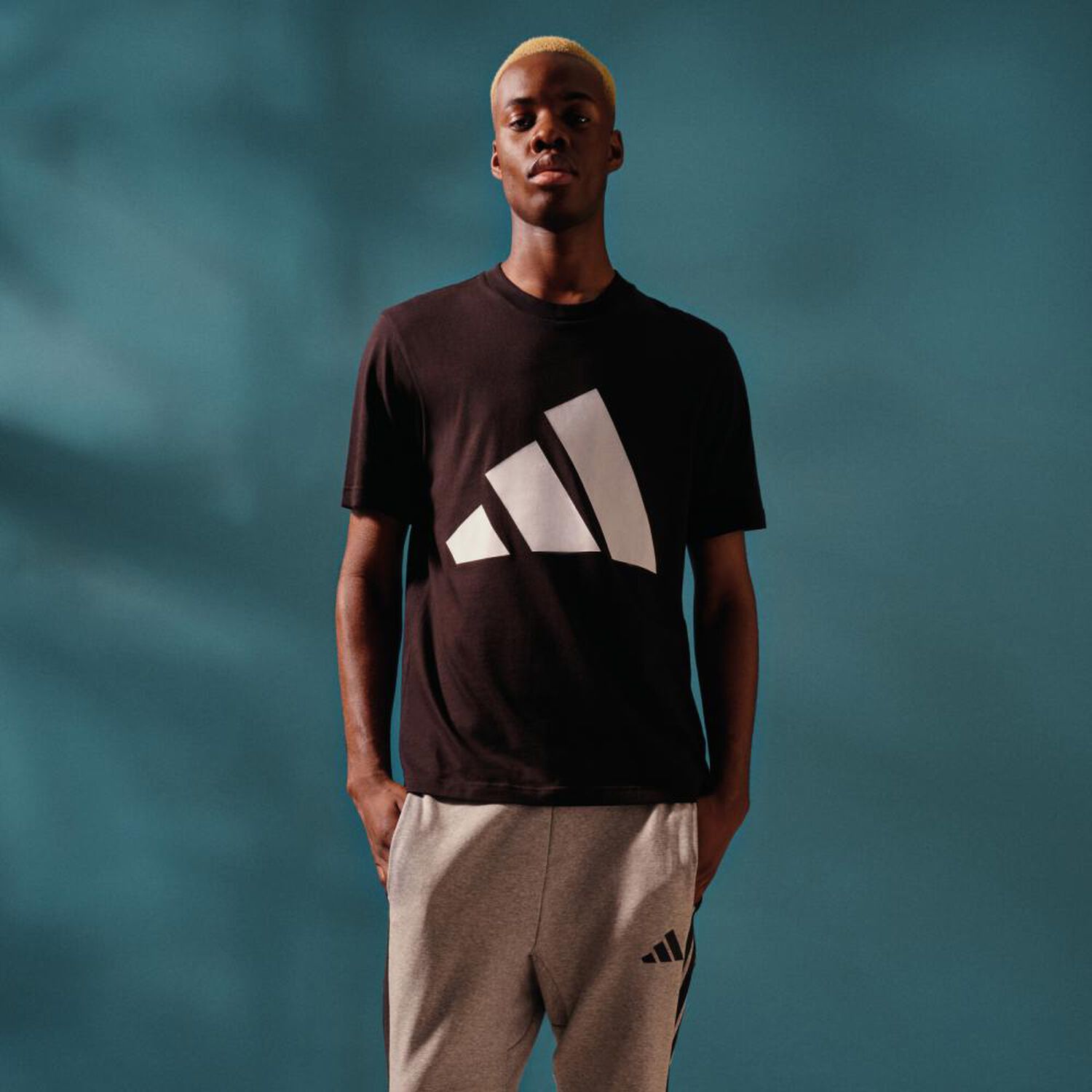 Camiseta Hombre Essentials Adidas Big Logo image number 14.0