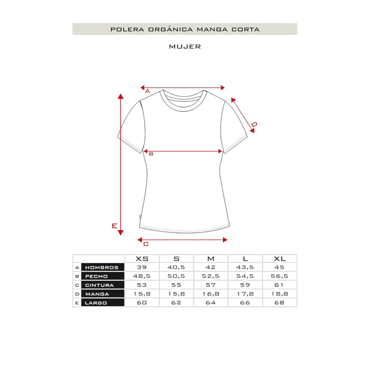Polera Org&aacute;nica Sunset Blanco Mujer Falcone image number 3.0