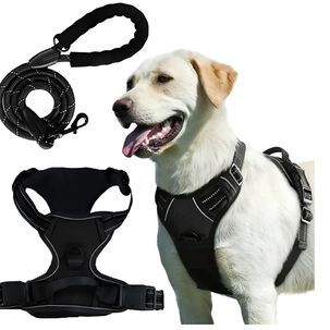 Arnés Perro Ajustable Reflectantes Con Correas Xl