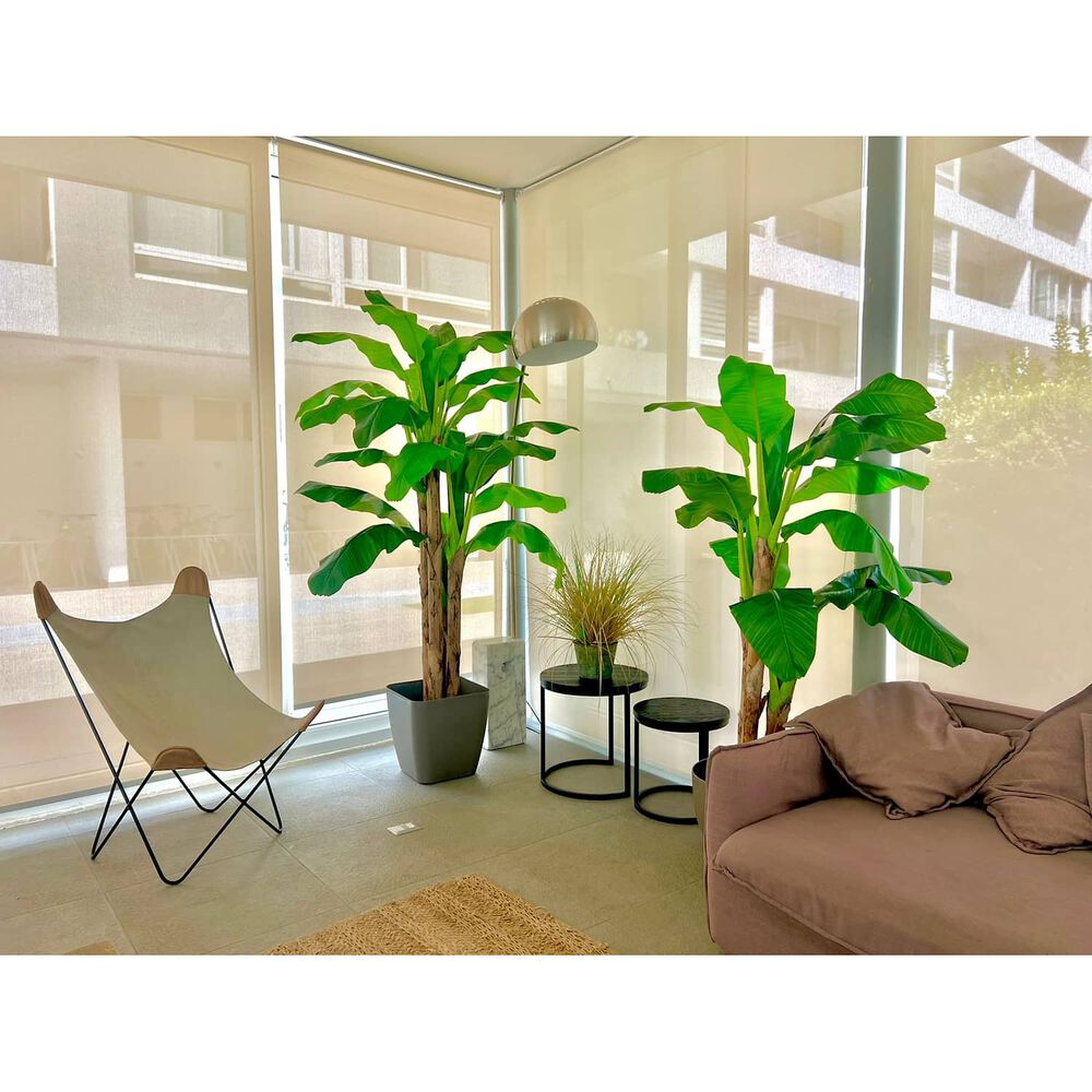 Planta Artificial Banano Premium 230 Cm. / 26 Hojas / Arbusto Real image number 5.0