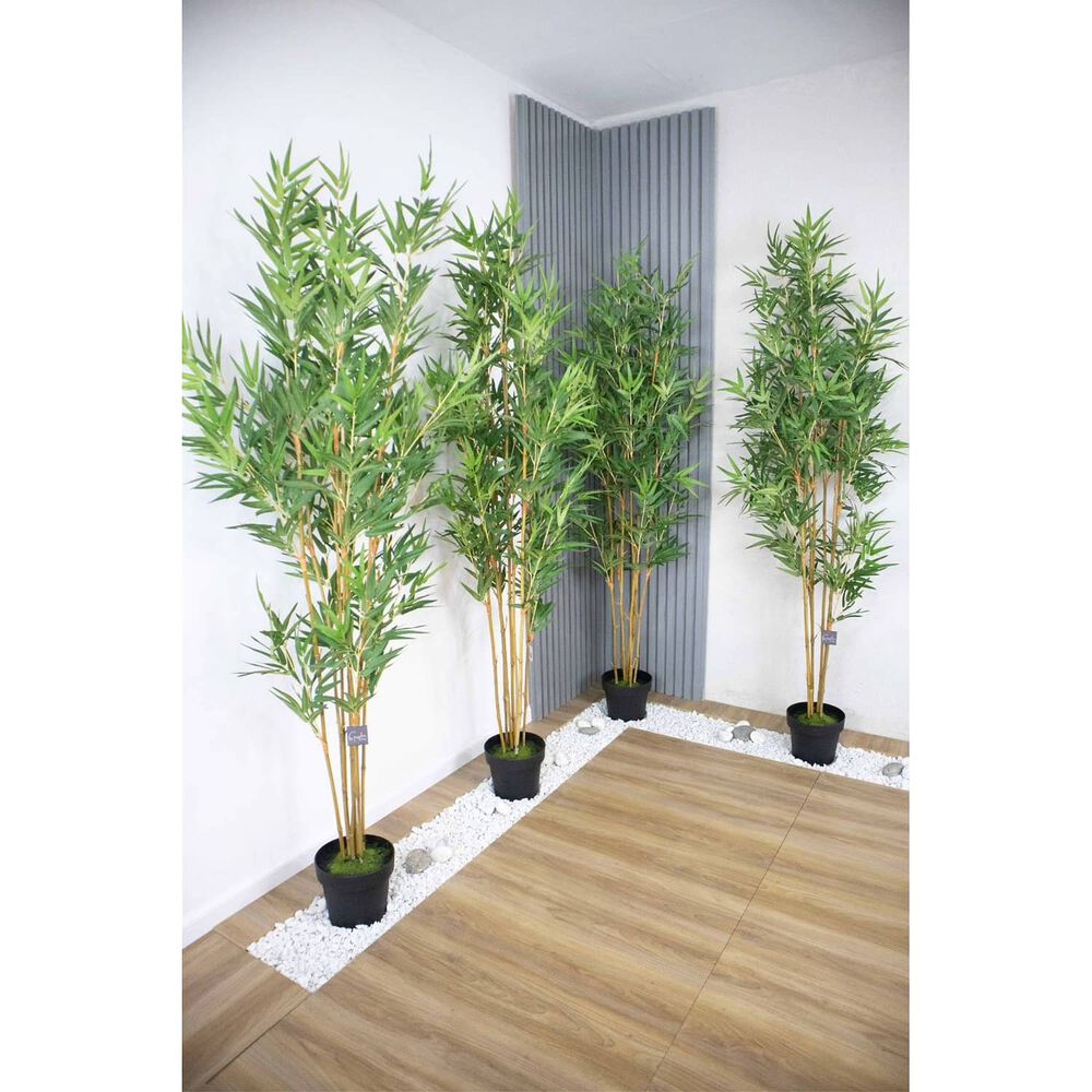 2 X 1 Bamboo Premium 150 Cm. / 1095 Hojas Arbusto Real image number 3.0