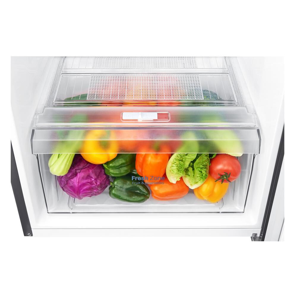 Refrigerador Top Freezer LG GT32WPPDC / No Frost / 312 Litros / A+ image number 12.0