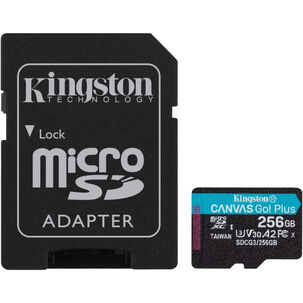 Memoria Microsd C/adapt Go Plus 256gb
