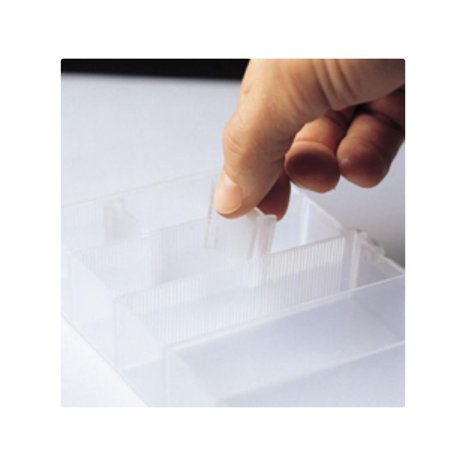 Caja Plastica Divisiones Movibles image number 4.0