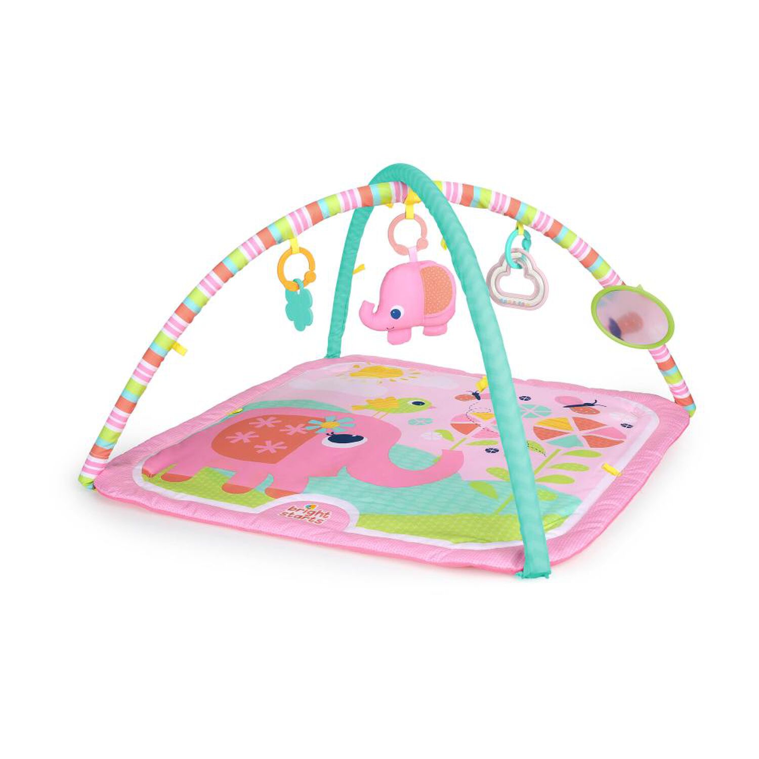 Gimnasio Bright Starts  Fanciful Flowers image number 0.0