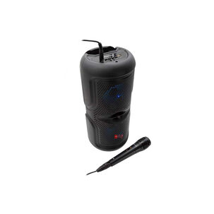 Parlante Karaoke Bluetooth Philco Con Micrófono 764bk - Ps