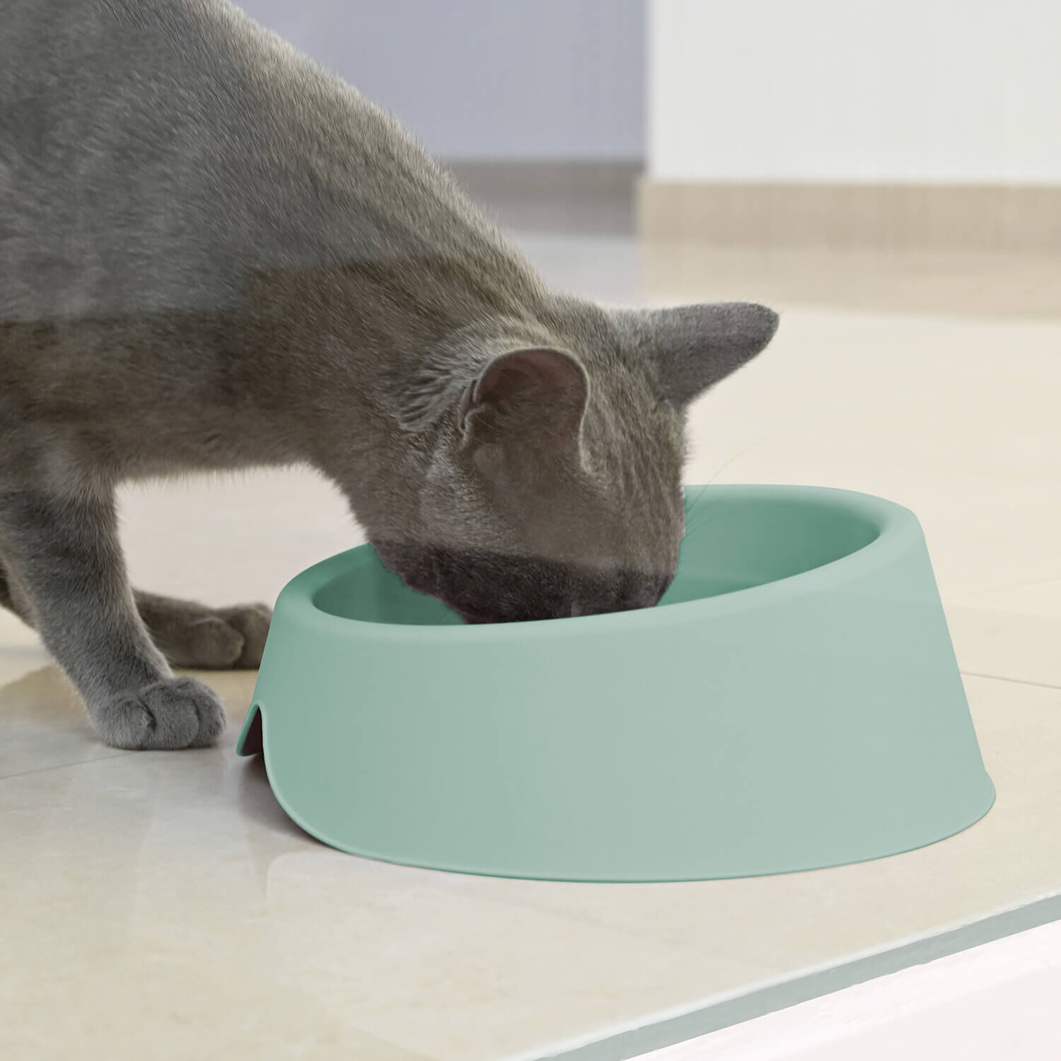 Plato Comedero Bebedero Para Mascota Menta 1 L Cool Pets image number 1.0