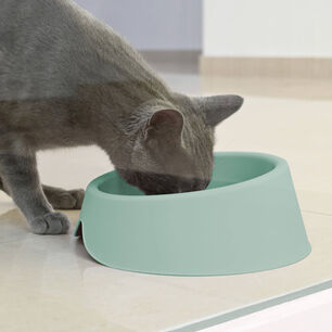 Plato Comedero Bebedero Para Mascota Menta 1 L Cool Pets