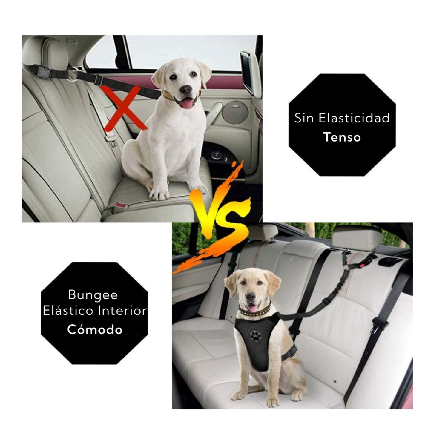 Correa Para Mascotas Pro Outdoor image number 4.0