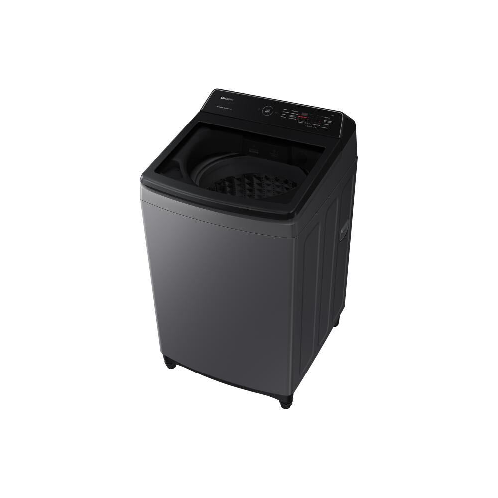 Lavadora Samsung WA17CG6441BDZS / 17 Kg image number 3.0