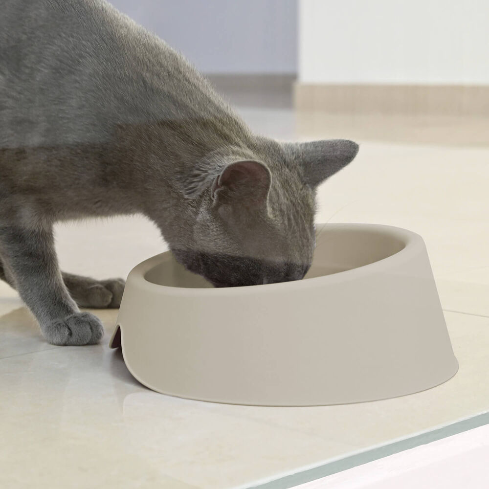 Plato Comedero Bebedero Para Mascota Beige 1 L Cool Pets image number 4.0