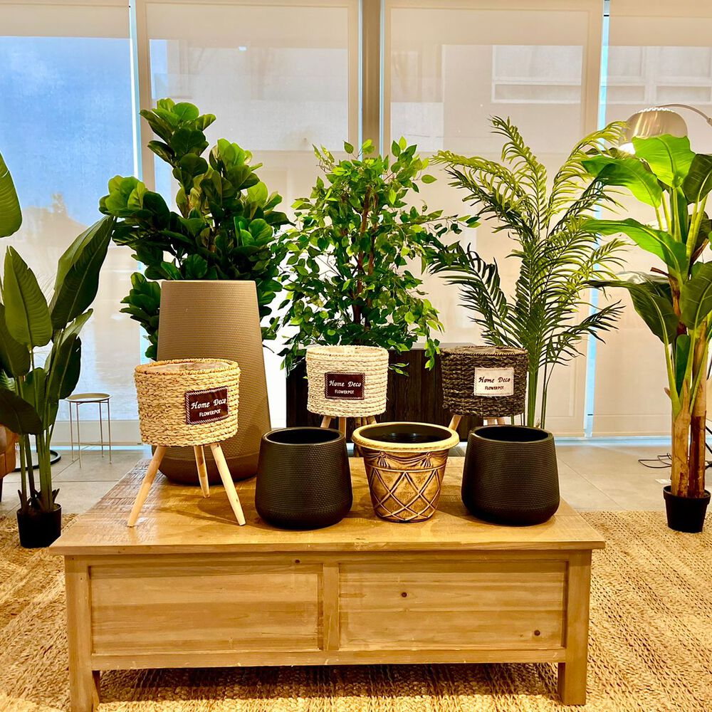 Planta Artificial Banano Premium 180 Cm. / 14 Hojas / Arbusto Real image number 4.0