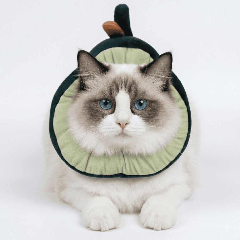 Collar Isabelino Forma De Palta Hey! image number 0.0
