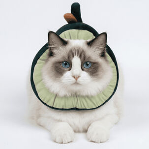 Collar Isabelino Forma De Palta Hey!