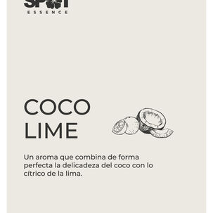 Home Spray Lh 500ml Ambar Coco Lime Spot Essence