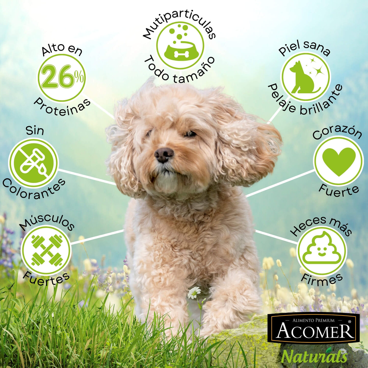 Alimento Para Perro Adulto Acomer Naturals 22kg image number 1.0