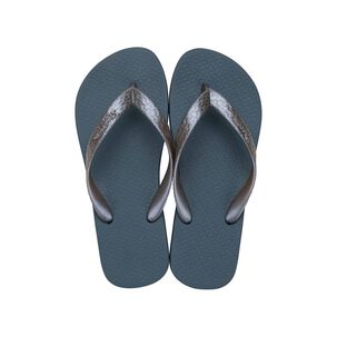 Sandalia Mujer Azul/plata Classica Ipanema